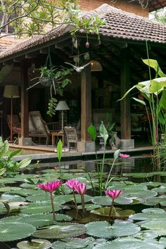 Kerala traditional house designed by Benny Kuriakose and Associates Garden Ideas For Beginners, Beautiful Garden Ideas, Window Decor Ideas, Kerala Architecture, Decorating Home