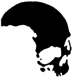 a black and white silhouette of a skull