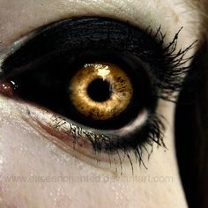 a woman's eye with black and gold colored contactions on the iris area