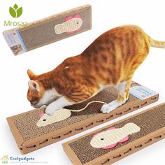 a cat playing with two mouse pads on top of a cardboard box that is shaped like an animal