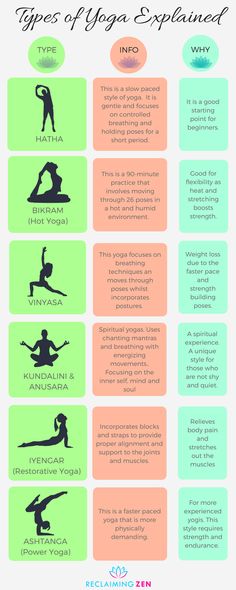 the different types of yoga equipment that are available in this info sheet for each individual to use