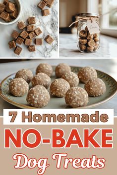 homemade no - bake dog treats with text overlay