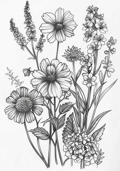 an ink drawing of flowers and plants