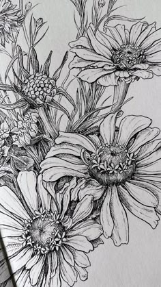 a drawing of some flowers in black and white