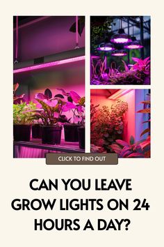 an advertisement for grow lights on 24 hours a day, with images of plants in the background