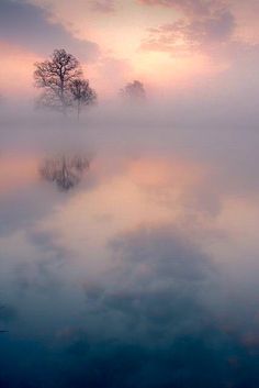 two trees in the middle of a foggy lake at sunrise or dawn with low clouds