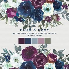 watercolor floral clipart collection in purple, blue and white flowers with text that reads plum & navy