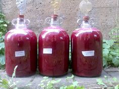 three red propane gas bottles sitting next to each other in front of a wall