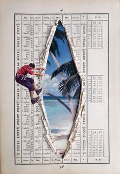 a man climbing up the side of a palm tree on top of a book page