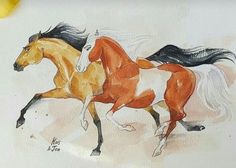 two horses running side by side on a white surface