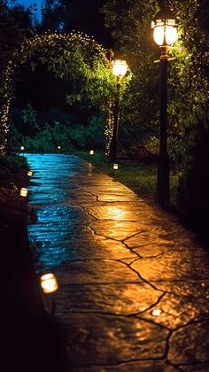 some lights that are on the side of a road in the night time with trees and bushes behind them