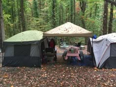 several tents set up in the woods for camping