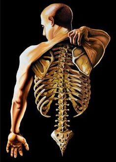 a painting of a man's back and shoulder with the skeleton visible in it