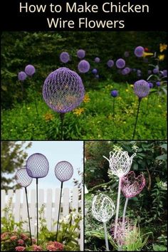 some purple flowers are in the grass and there is an image of them with words on it