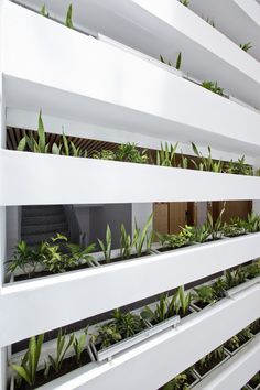 plants are growing on the side of a white building that has vertically dividers