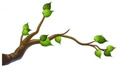 a tree branch with green leaves on it