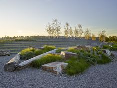 there are many rocks and plants in the gravel near a fenced area with grass