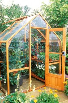 a small greenhouse with lots of plants in it