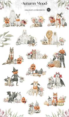 an autumn mood with pumpkins, cats and other animals in the fall season colors