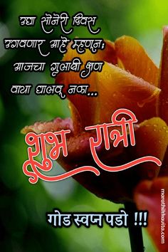 an orange flower with the words in hindi