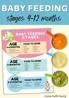 the baby feeding stages poster is shown