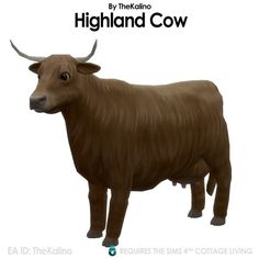 an image of a brown cow with horns on it's head and the words highland cow