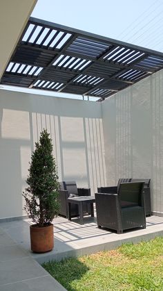 an outdoor living area with chairs and a potted plant