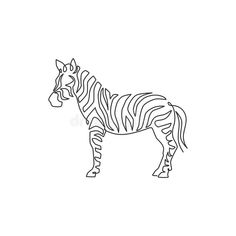 a zebra standing in the middle of a white background