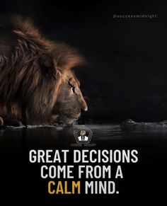 a lion with the caption'great decision come from a calm mind '