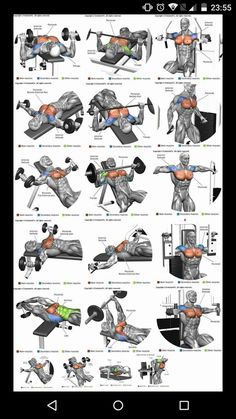 the muscles and their functions are shown in this diagram, which shows how they work