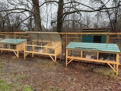 three wooden coops with green roof in the middle of trees and leaves on the ground