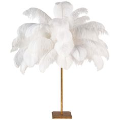 an ostrich feather on a stand against a white background