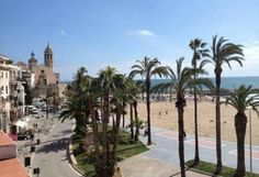 palm trees line the street in front of an oceanfront beach and town square with tall buildings on either side