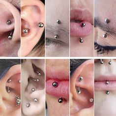 multiple pictures of different types of piercings