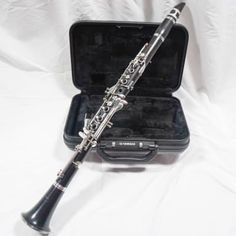 a silver and black flute in a case