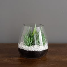 a glass vase filled with plants on top of a wooden table