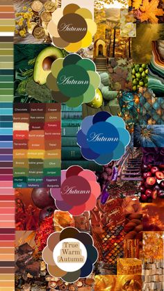 the color scheme is very colorful and has many different things to see in this image