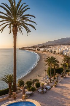 the beach is lined with palm trees and white buildings near the water's edge