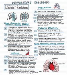 the human body and its functions