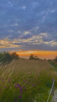 the sun is setting over a field with tall grass and wildflowers in bloom