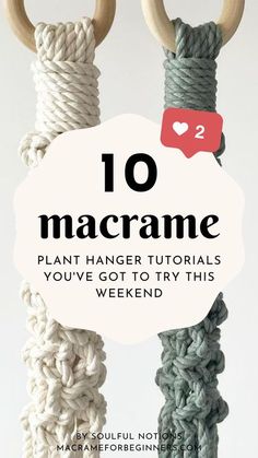 the top ten macrame plant hangers you've got to try this weekend