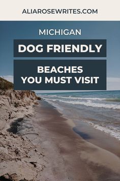 michigan dog friendly beaches you must visit with text overlay that reads michigan dog friendly beaches you must visit