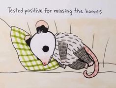 a drawing of a rat laying on top of a bed with the caption tested positive for missing the homes