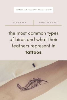 the most common types of birds and what their feathers represent in tattoos