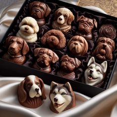 a box filled with lots of chocolates covered in different types of dogs'heads