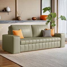 a living room with a couch, rug and potted plant on the table in front of it