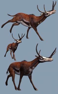 three different views of an antelope running