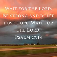 Do Not Lose Hope, Wait For The Lord, Biblical Encouragement, Soli Deo Gloria, Inspirational Verses, Bible Study Verses, Prayer Verses