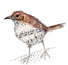 a drawing of a bird with musical notes on it's body and legs, sitting on top of snow