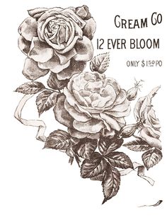 a black and white drawing of roses with the words cream go ever bloom on it